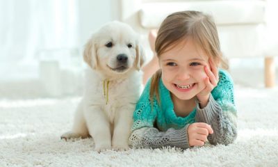 niños con mascotas por alergias