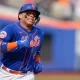francisco alvarez en los mets
