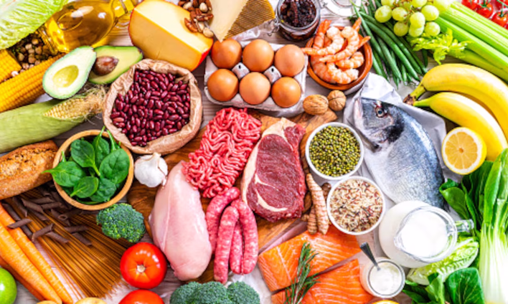 alimentación harvard