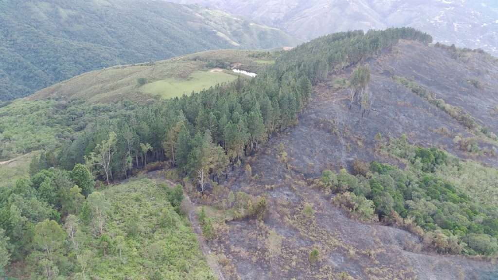 Incendios