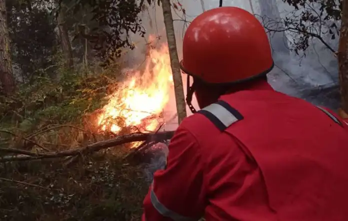 Incendios