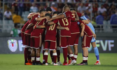 vinotinto venezuela