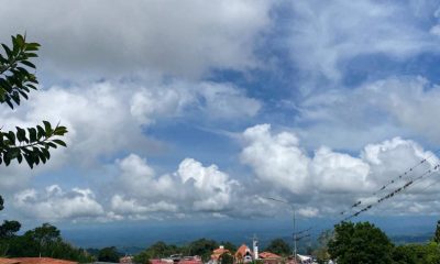 Jose gregorio hernández Natalicio